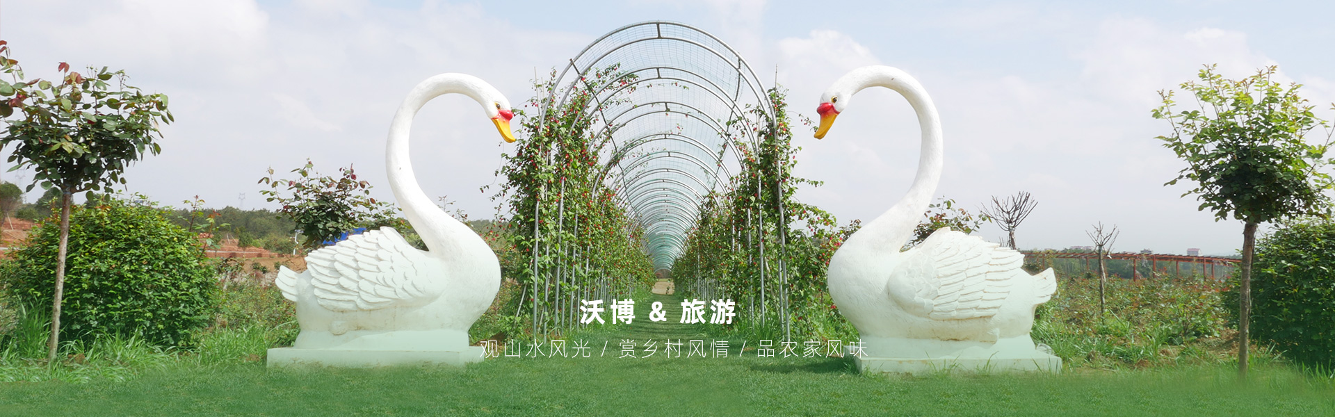 鮮果采摘都有江西沃博吳茱萸、江西沃博花海、江西沃博蔓荊子、江西沃博金銀花等品種，同時也是一家江西婚紗攝影旅拍基地和江西花海打卡基地，可以提供紫薇花花海造型服務，花花世界看沃博花海，相信我們這里不會讓大家失望的